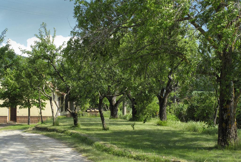 Agriturismo Il Casalone Montepulciano Stazione Buitenkant foto